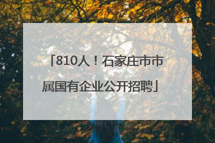 810人！石家庄市市属国有企业公开招聘