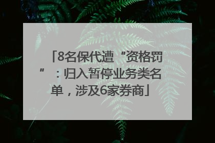 8名保代遭“资格罚”：归入暂停业务类名单，涉及6家券商