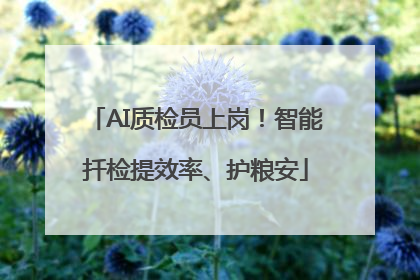 AI质检员上岗！智能扦检提效率、护粮安