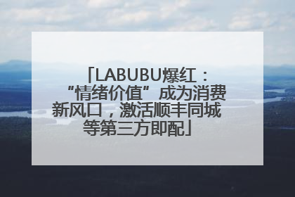 LABUBU爆红：“情绪价值”成为消费新风口，激活顺丰同城等第三方即配