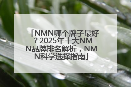 NMN哪个牌子最好？2025年十大NMN品牌排名解析，NMN科学选择指南