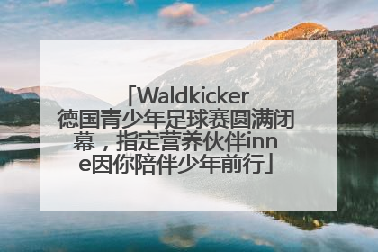Waldkicker德国青少年足球赛圆满闭幕，指定营养伙伴inne因你陪伴少年前行
